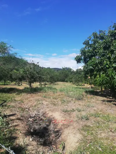 venta lote 2.500m2  via acapulco floridablanca-santander