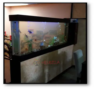 ESTRUCTURAS DECORATIVAS CON AGUA