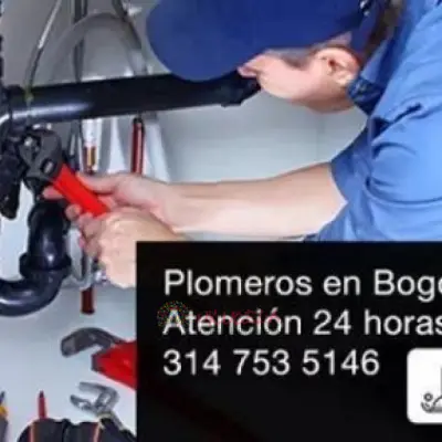PLOMEROS EN CIUDAD VERDE 3147535146