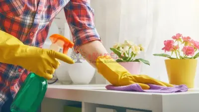 SERVICIO DE LIMPIEZA