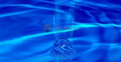 Construya o cambie su piscina al tratamiento con sal.