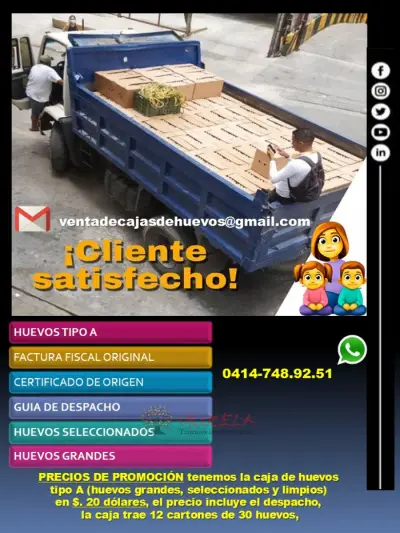 venta de Huevos al mayor Huevos grandes y frescos